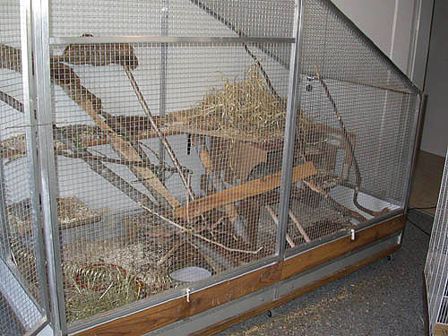 Grossansicht des gewhlten Bildes