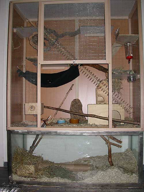 Grossansicht des gewhlten Bildes